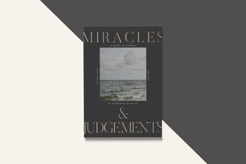 Miracles & Judgments // Bible Study